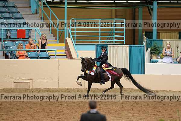 Proof 09yn-22916
