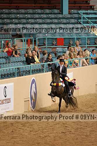 Proof 09yn-22919