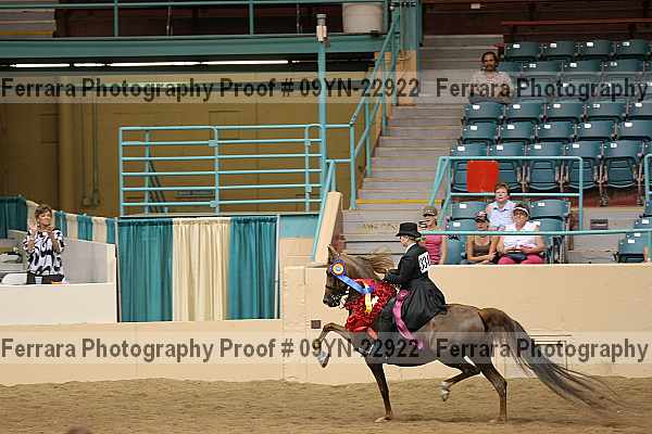 Proof 09yn-22922