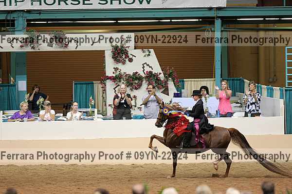 Proof 09yn-22924