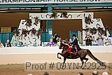 09yn-22925 proof