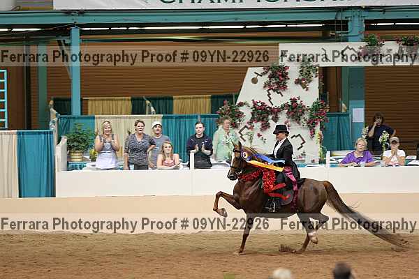 Proof 09yn-22926