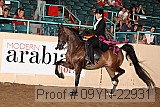 09yn-22931 proof