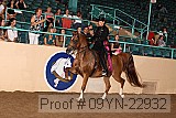 09yn-22932 proof