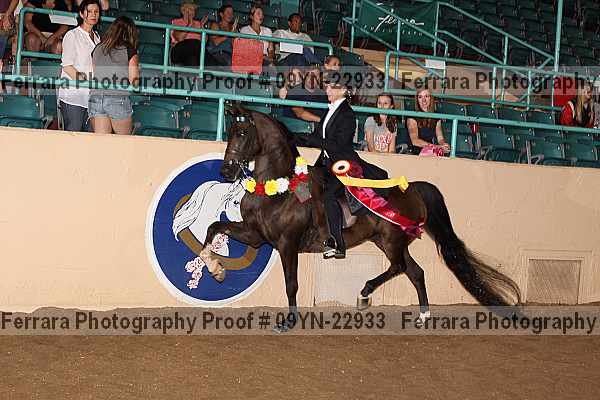 Proof 09yn-22933