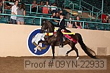 09yn-22933 proof