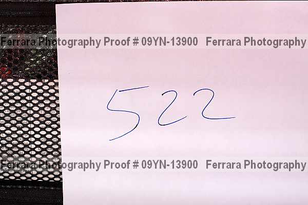 Proof 09yn-13900