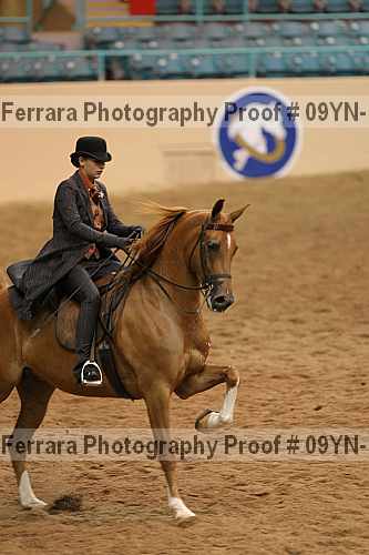 Proof 09yn-13901