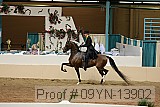 09yn-13902 proof