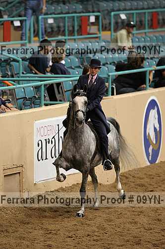 Proof 09yn-13905