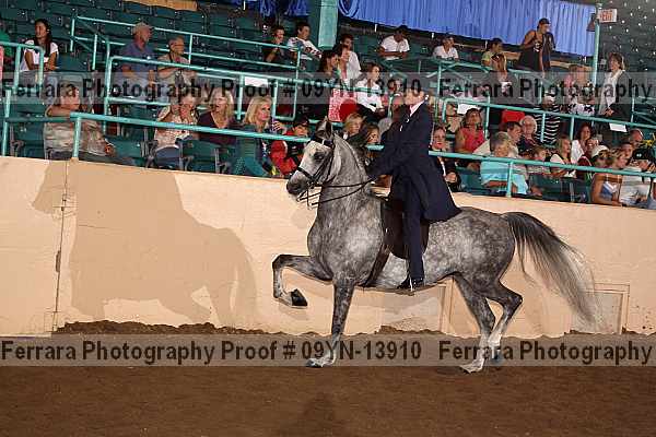 Proof 09yn-13910