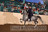 09yn-13910 proof