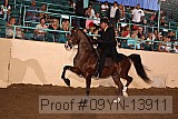 09yn-13911 proof