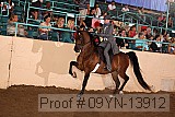 09yn-13912 proof
