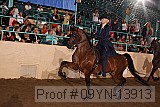 09yn-13913 proof