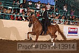 09yn-13914 proof
