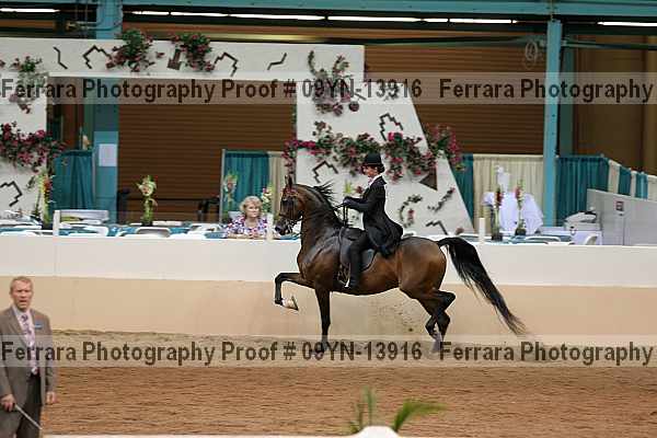 Proof 09yn-13916