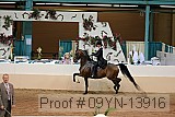 09yn-13916 proof