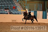 09yn-13917 proof