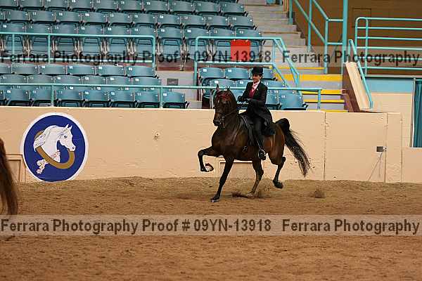 Proof 09yn-13918