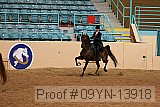 09yn-13918 proof