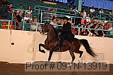 09yn-13919 proof