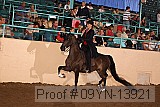 09yn-13921 proof