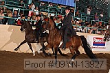 09yn-13927 proof
