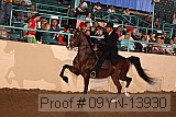 09yn-13930 proof