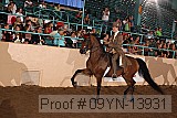 09yn-13931 proof