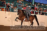 09yn-13932 proof