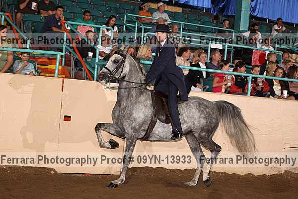 Proof 09yn-13933