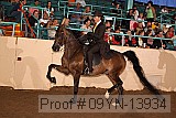 09yn-13934 proof