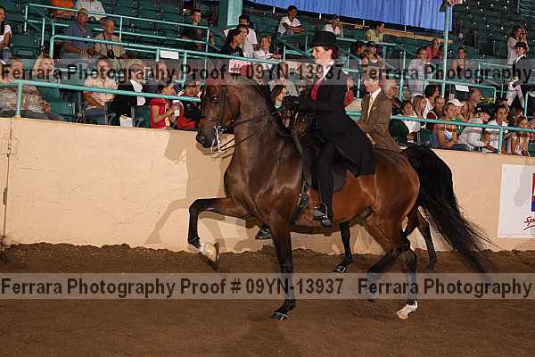 Proof 09yn-13937