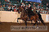 09yn-13937 proof
