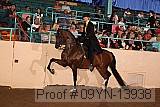 09yn-13938 proof
