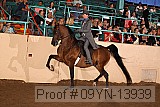 09yn-13939 proof