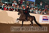 09yn-13941 proof