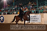 09yn-13958 proof