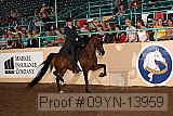 09yn-13959 proof