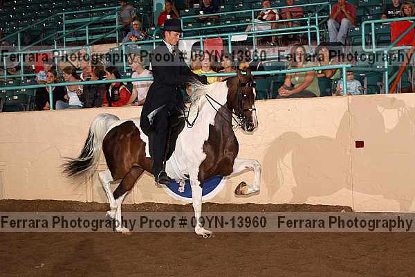 Proof 09yn-13960