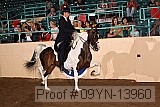 09yn-13960 proof