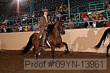 09yn-13961 proof