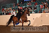 09yn-13963 proof