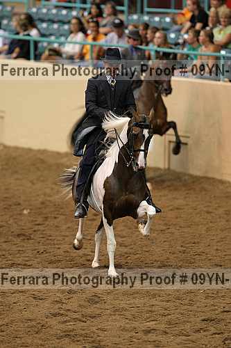 Proof 09yn-13967