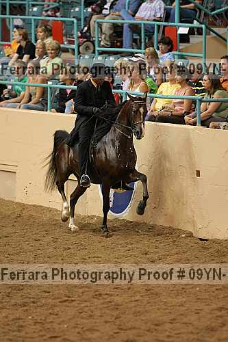 Proof 09yn-13968