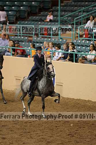 Proof 09yn-13975