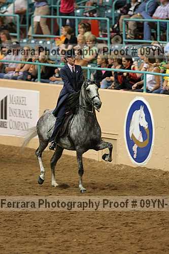 Proof 09yn-13976