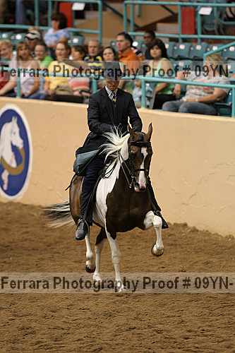 Proof 09yn-13978