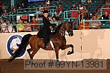 09yn-13981 proof